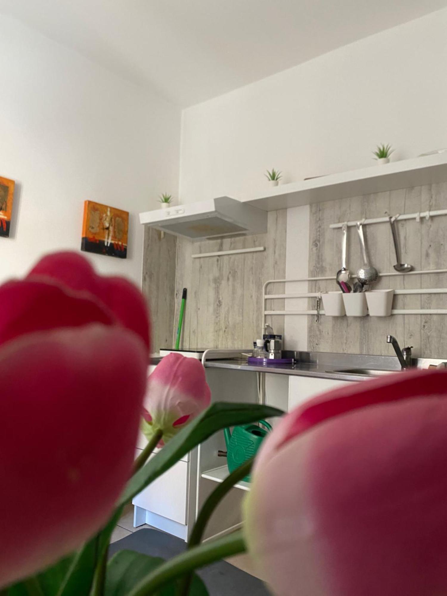 B&B Regina Carolina Caltagirone Exterior foto